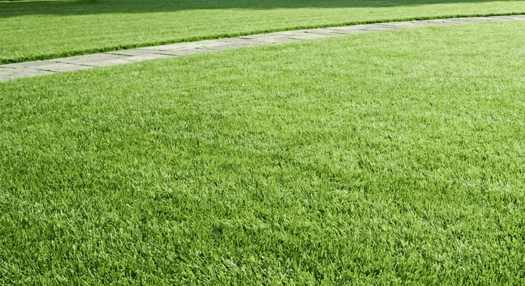 Clean Fredericton Yard Pathway - Pet Waste Removal A pristine, well-maintained residential lawn split by a concrete sidewalk pathway, demonstrating the results of a thorough dog waste removal and spring clean up service.